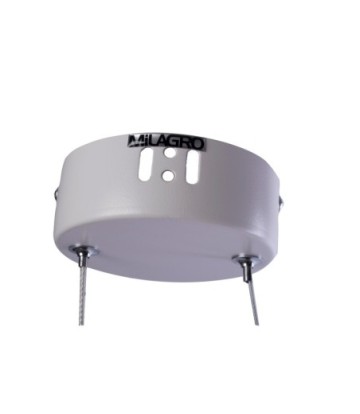 LAMPA WISZĄCA RING 36W LED