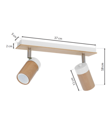 Lampa sufitowa BARON WHITE 2xGU10