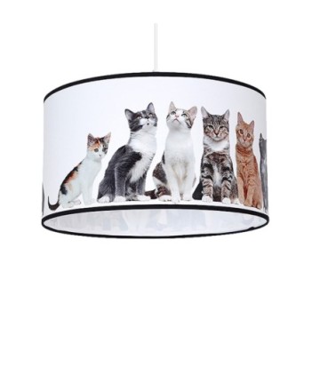 Lampa Wisząca CATS 1xE27