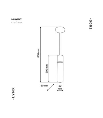 Lampa Wisząca LYNX 1xE14