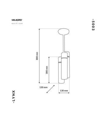 Lampa Wisząca LYNX 6xE14