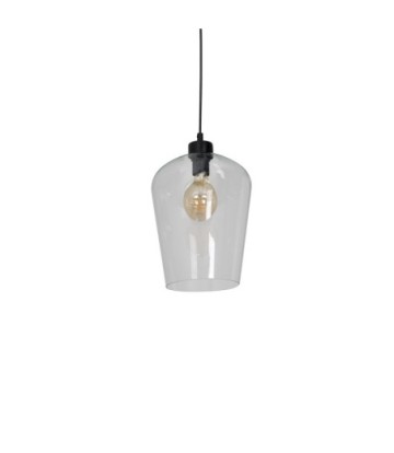 Lampa wisząca SANTIAGO CLEAR 1xE27