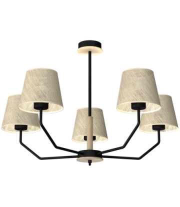 Lampa wisząca ETNA Black 5xE27